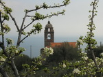 Moneglia - Chiesa di San Lorenzo
[ 156 KB ]